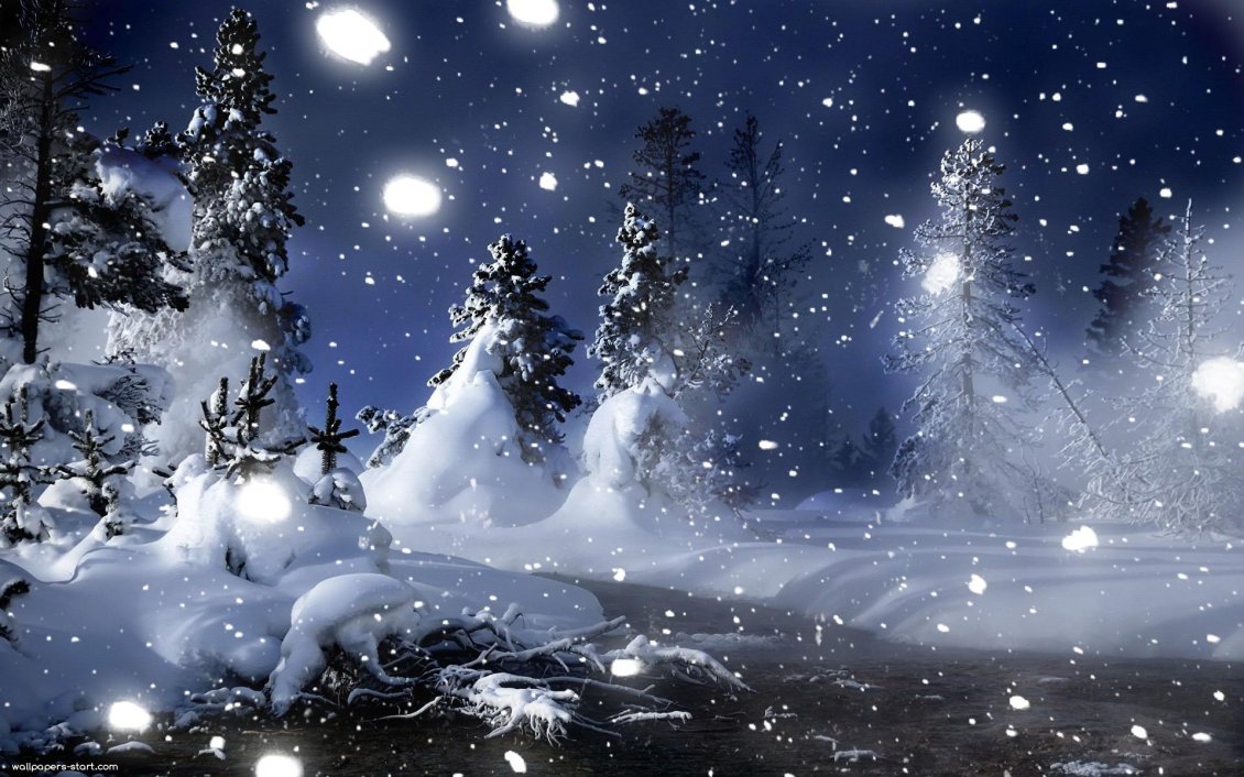 Download Wallpaper Winter night in the forest - HD wallpaper