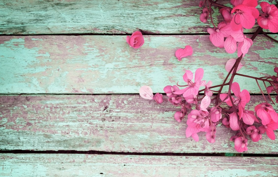 Download Wallpaper Flowers on an old wooden table - HD wallpaper