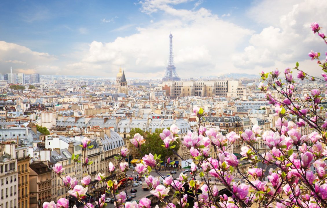 Download Wallpaper Spring season over the Paris - HD wallpaper
