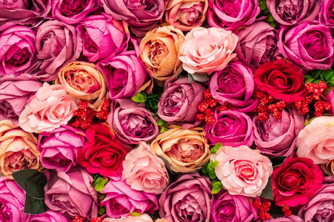 Download Wallpaper Background full of roses - HD spring perfume wallpaper