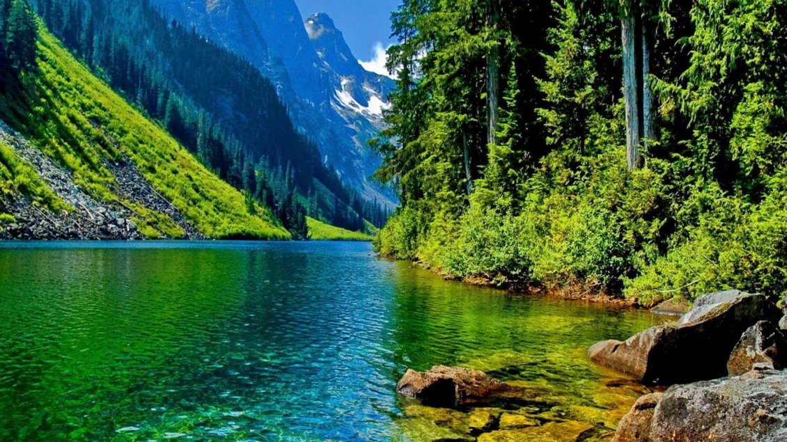 Download Wallpaper Wonderful mountain lake in the middle of the forest