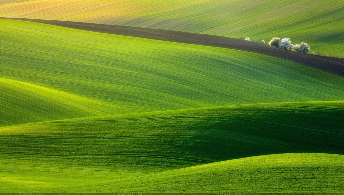 Download Wallpaper Wonderful green field - HD nature wallpaper