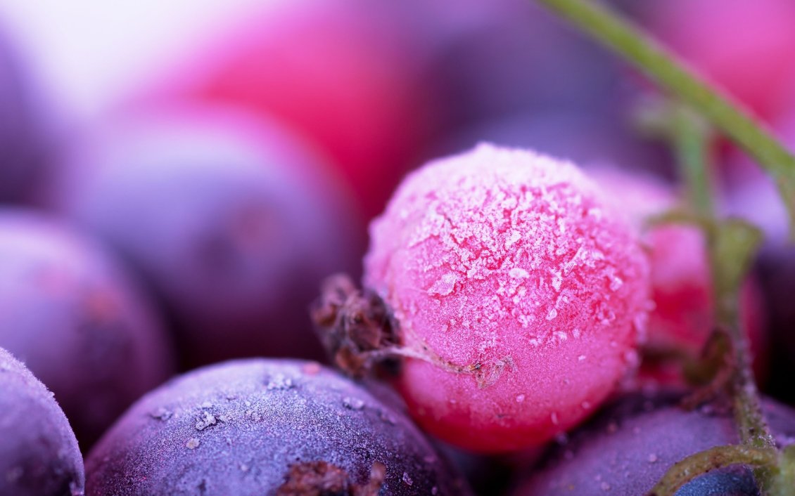 Download Wallpaper Macro ice blueberry - Beautiful frozen fruits HD wallpaper