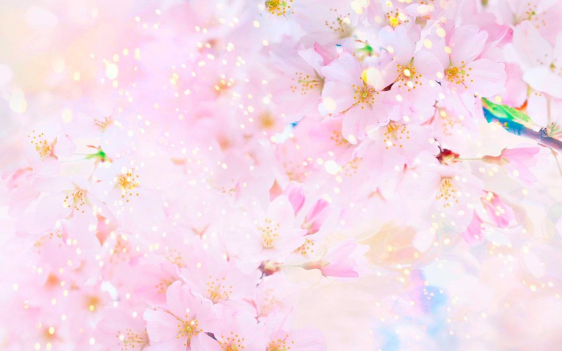 Download Wallpaper Wonderful pink tree flowers - HD wallpaper