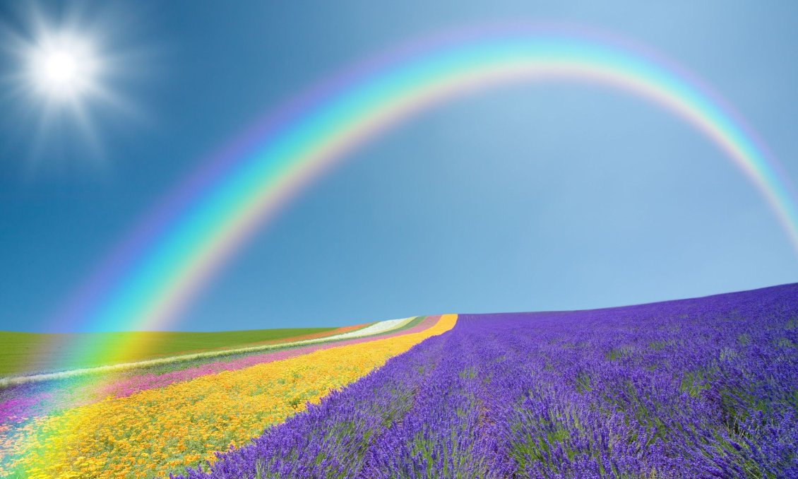 Download Wallpaper Wonderful lavender field and rainbow on the sky