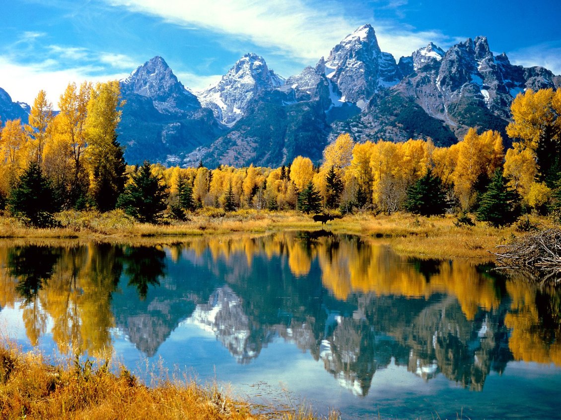 Download Wallpaper Autumn color over the trees and winter on the mountains