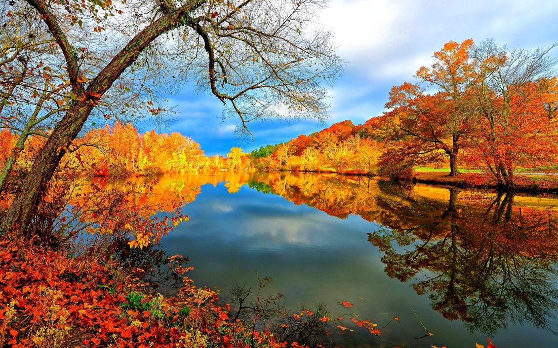 Download Wallpaper Land view in a beautiful autumn season day