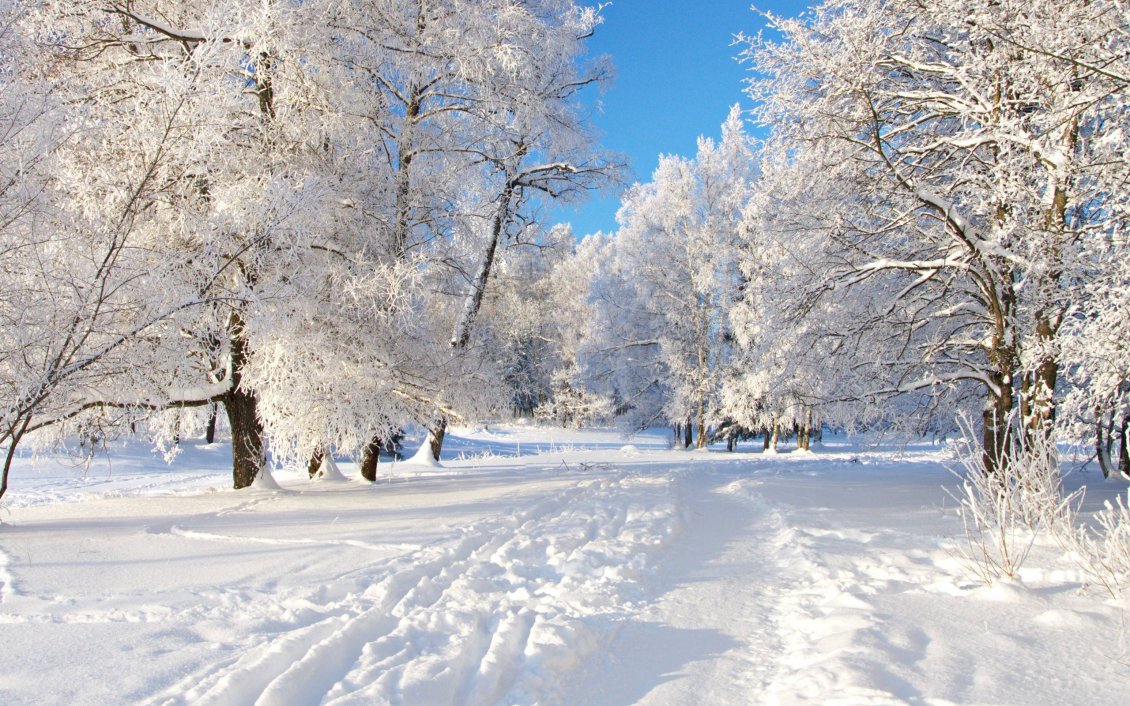 Download Wallpaper Park full with white snow - Beautiful winter season