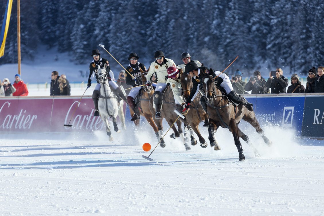 Download Wallpaper Horse winter sport - wonderful season time