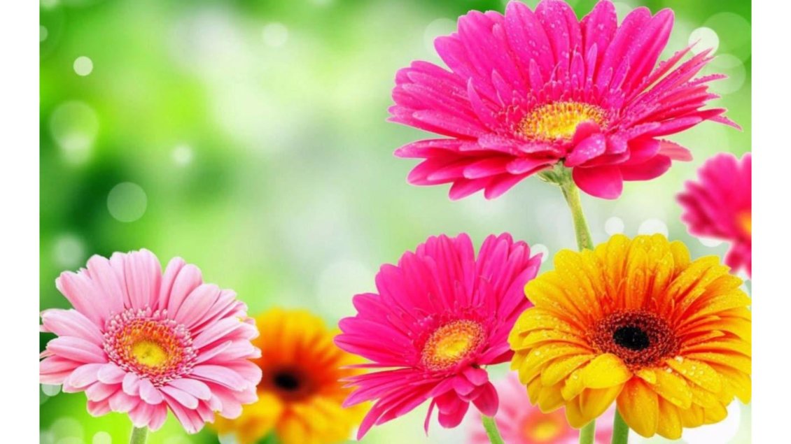 Download Wallpaper Wonderful spring flowers - Colors and perfume