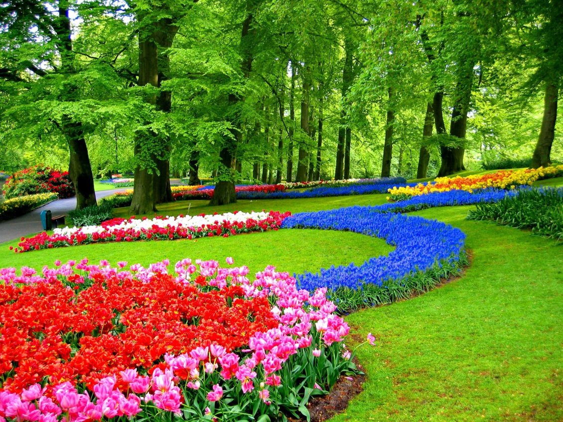 Download Wallpaper Beautiful garden in a park - wonderful flowers