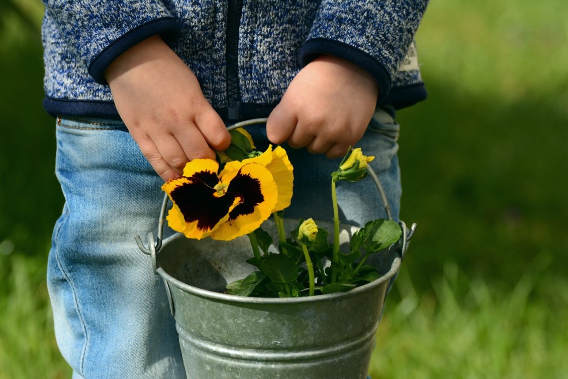 Download Wallpaper Black and Yellow flowers - Kid holding flowers