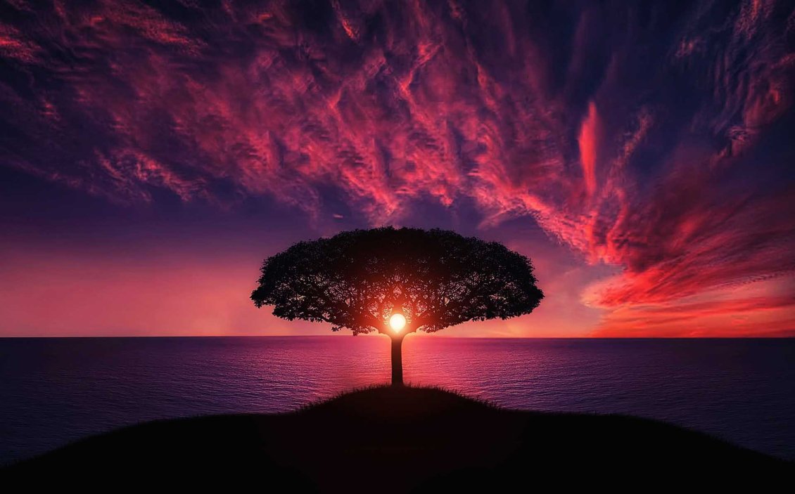 Download Wallpaper Red beautiful sunset over the ocean and tree