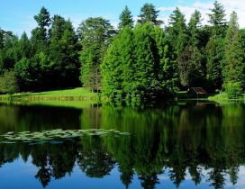 Lake like a mirror and trees around