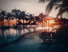 Sunset at the seaside, palms and swimming pool