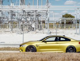 BMW M4 gold 2014 M Power