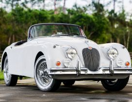 Front view from a classic Jaguar XK150