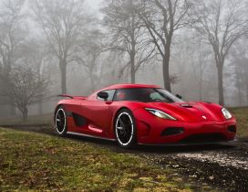 Red Koenigsegg Agera R in the forest
