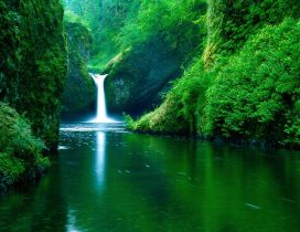 Magic waterfall in the green nature