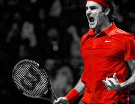 Professional tennis player : Roger Federer