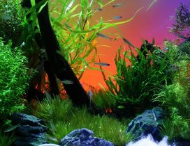 Underwater world with colorful fish species