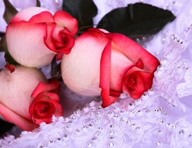 Red and white three roses on lace with stones