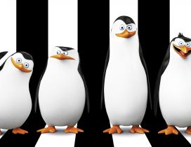Penguins of Madagascar - Four penguins