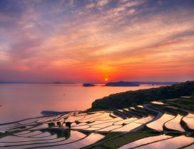 Red Japan Sunset Rice Terraces