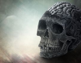 Skull with brain black & white