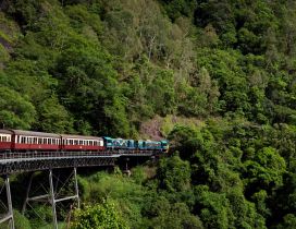 Train on the bridge between trees