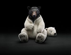 Funny clothes for a bear - polar bear