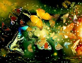 Rain of butterflies - magic time