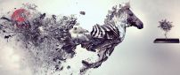 Abstract art disintegrating zebra