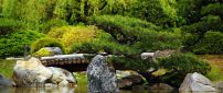 Summer day in the forest - Bridge on the river