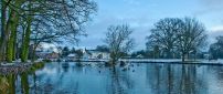 Winter in the village and ducks on the lake