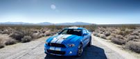 Blue Ford Mustang with white lines