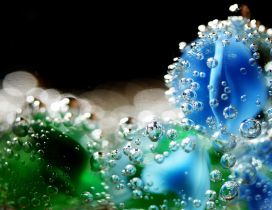 Abstract water drops on the green and blue balls