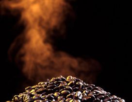 Baked coffee beans HD