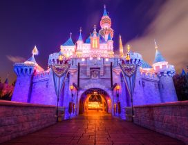 Disneyland Castle beautiful in the night