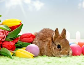 Brown rabbit, red eggs and many tulips - Happy Easter