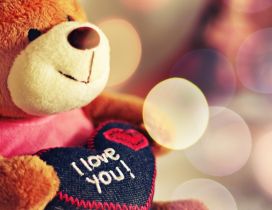 Teddy bear with a love message