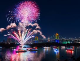 Fireworks near the bridge in Tokyo