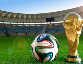 Fifa world cup - Football and cup on the stadium