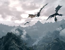 Three dragons in the sky