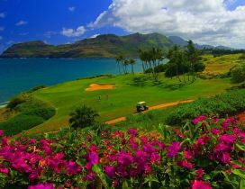Beautiful and relaxing golf course on the shore of the sea