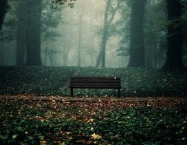 Park bench, autumn