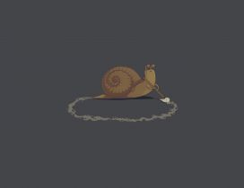 Snail cleaning up