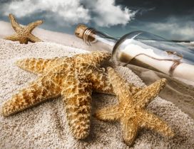Starfish in the sand and a bottle with a message