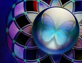 Blue butterfly in a circle - Beautiful artistic wallpaper