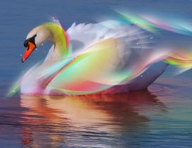 Abstract colorful swan on the lake